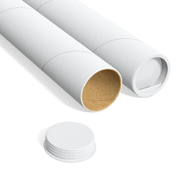 White Mailing Tube - 6