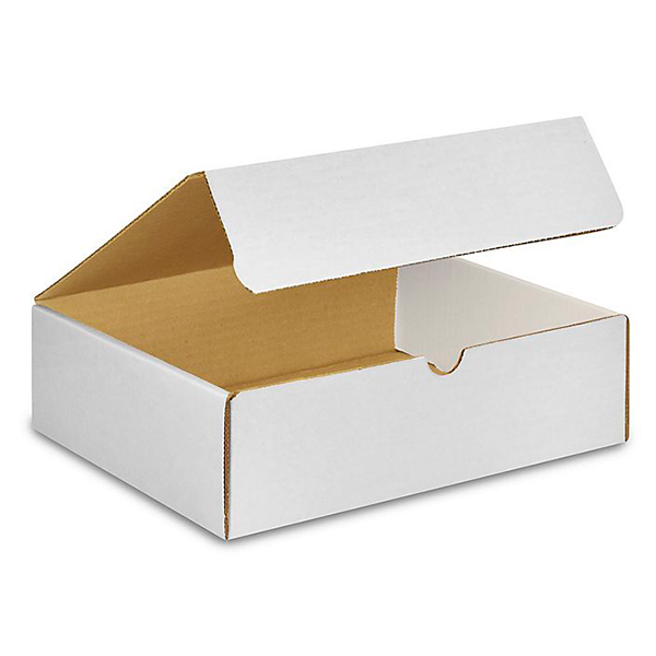 10 (L) x 9 (W) x 3 (H) White Literature Mailer Box - 50/Bundle