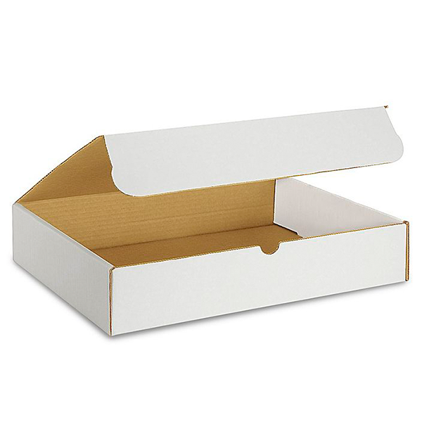 15 (L) x 11 1/8 (W) x 4 (H) White Literature Mailer Box - 50/Bundle