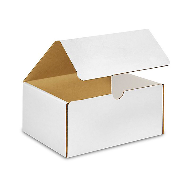 8 (L) x 6 (W) x 4 (H) White Literature Mailer Box - 50/Bundle