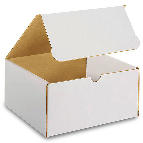 8 (L) x 8 (W) x 5 (H) White Literature Mailer Box - 50/Bundle